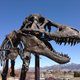 Illustration for article titled Ask A Paleontologist All Your Questions About Dinosaurs!